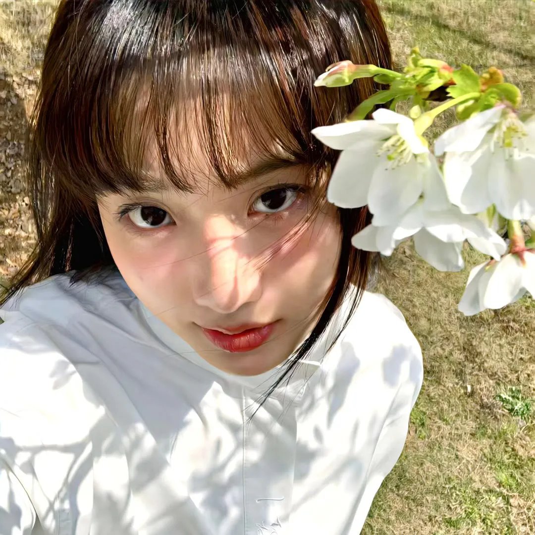 破碎太阳之心